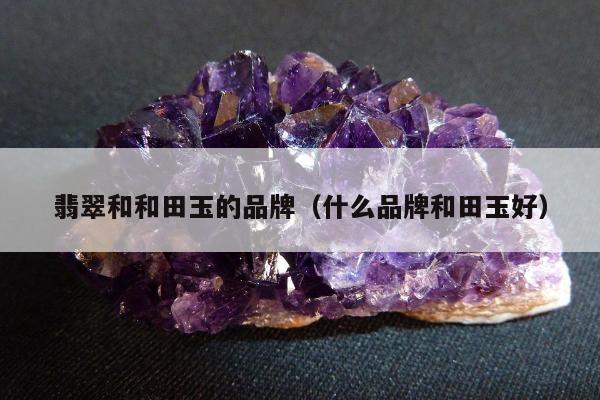 翡翠和和田玉的品牌（什么品牌和田玉好）