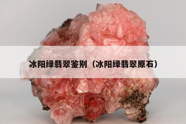 冰阳绿翡翠鉴别（冰阳绿翡翠原石）
