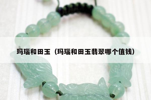 玛瑙和田玉（玛瑙和田玉翡翠哪个值钱）