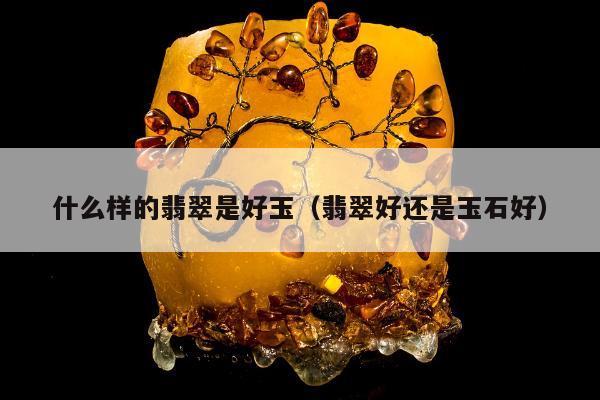 什么样的翡翠是好玉（翡翠好还是玉石好）