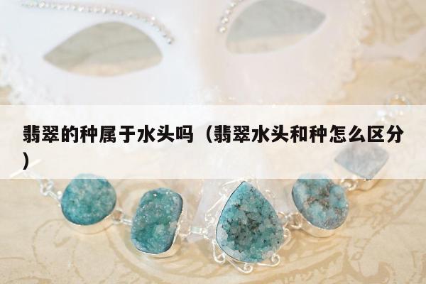翡翠的种属于水头吗（翡翠水头和种怎么区分）