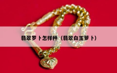 翡翠罗卜怎样种（翡翠白玉萝卜）