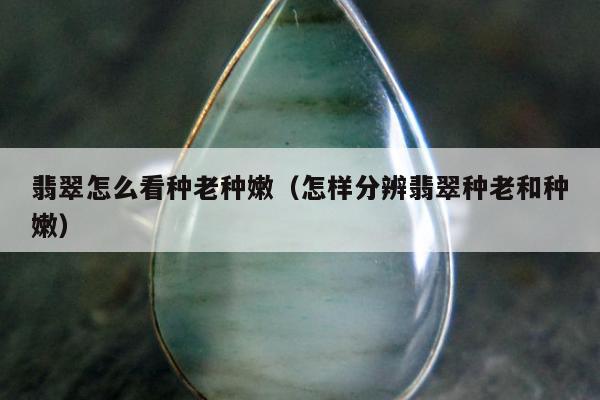 翡翠怎么看种老种嫩（怎样分辨翡翠种老和种嫩）