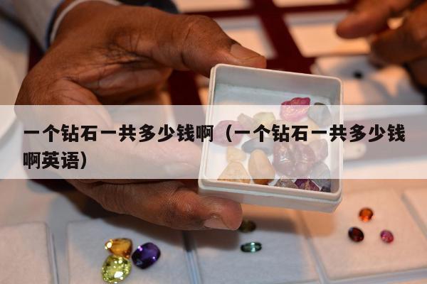 一个钻石一共多少钱啊（一个钻石一共多少钱啊英语）