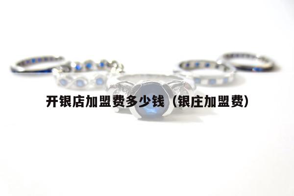 开银店加盟费多少钱（银庄加盟费）
