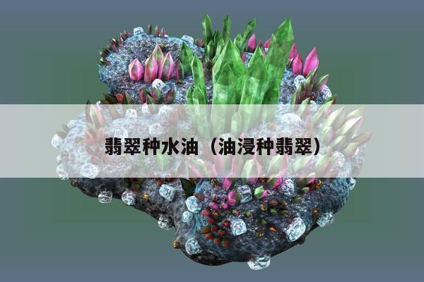 翡翠种水油（油浸种翡翠）