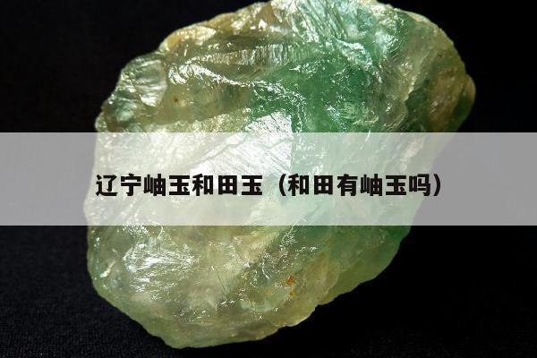辽宁岫玉和田玉（和田有岫玉吗）