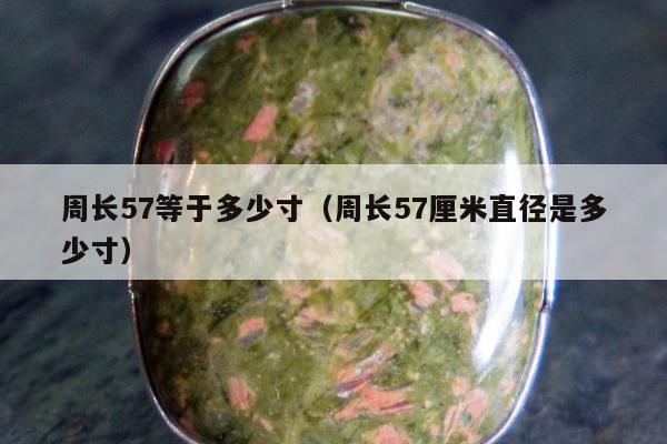 周长57等于多少寸（周长57厘米直径是多少寸）