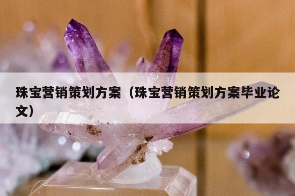 珠宝营销策划方案（珠宝营销策划方案毕业论文）