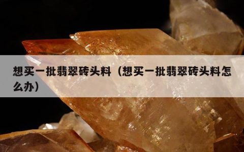 想买一批翡翠砖头料（想买一批翡翠砖头料怎么办）