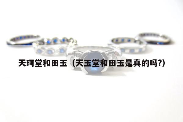 天珂堂和田玉（天玉堂和田玉是真的吗?）