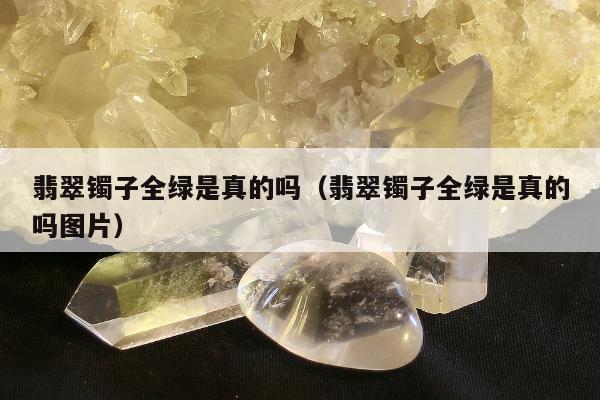 翡翠镯子全绿是真的吗（翡翠镯子全绿是真的吗图片）