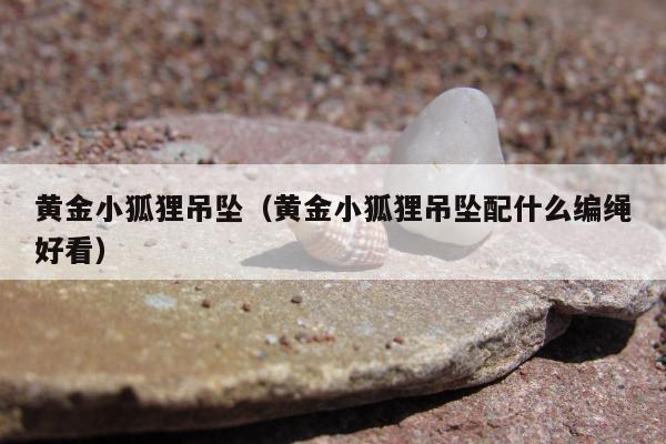 黄金小狐狸吊坠（黄金小狐狸吊坠配什么编绳好看）