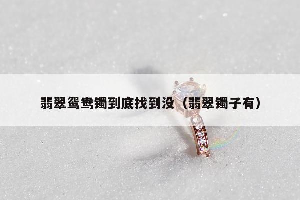 翡翠鸳鸯镯到底找到没（翡翠镯子有）