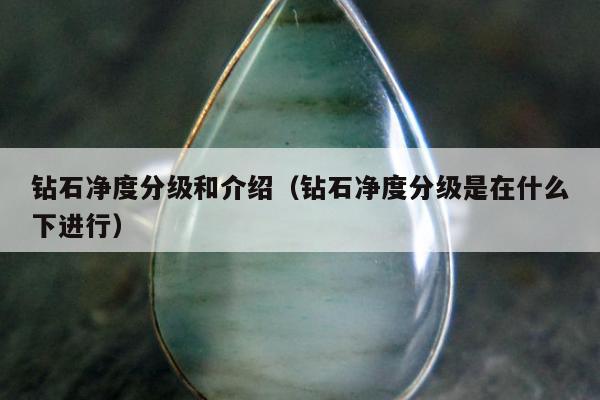 钻石净度分级和介绍（钻石净度分级是在什么下进行）