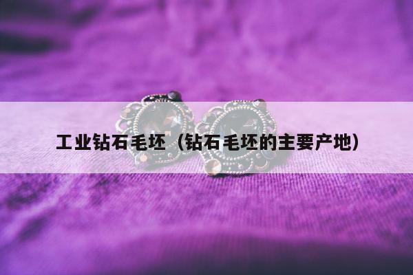 工业钻石毛坯（钻石毛坯的主要产地）