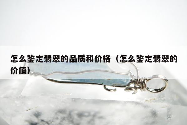 怎么鉴定翡翠的品质和价格（怎么鉴定翡翠的价值）