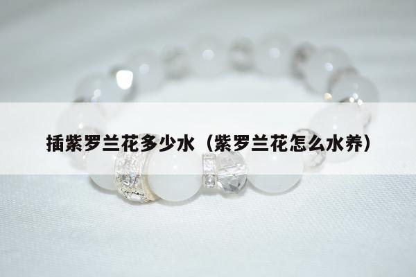插紫罗兰花多少水（紫罗兰花怎么水养）