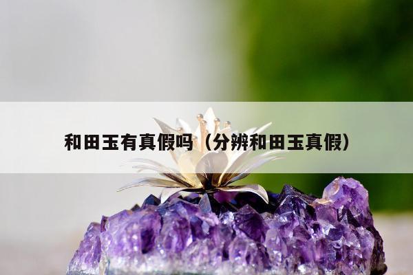 和田玉有真假吗（分辨和田玉真假）