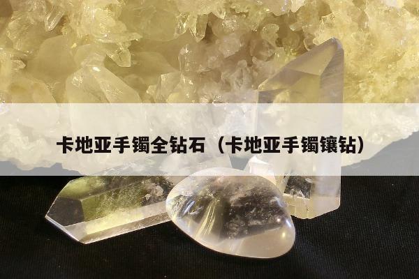 卡地亚手镯全钻石（卡地亚手镯镶钻）
