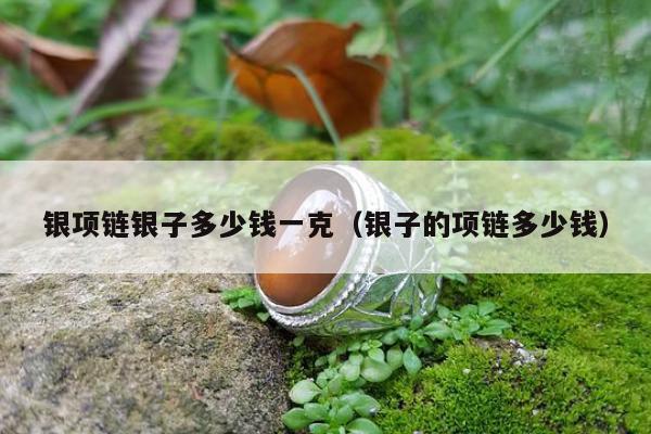 银项链银子多少钱一克（银子的项链多少钱）