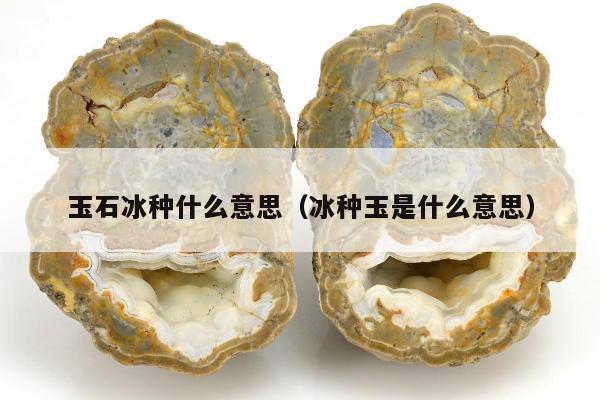 玉石冰种什么意思（冰种玉是什么意思）