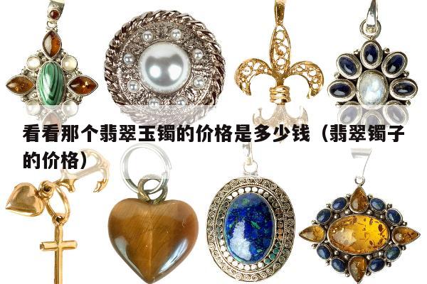 看看那个翡翠玉镯的价格是多少钱（翡翠镯子的价格）