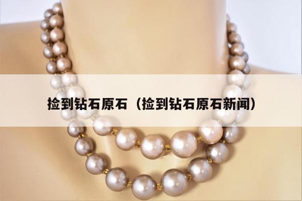 捡到钻石原石（捡到钻石原石新闻）