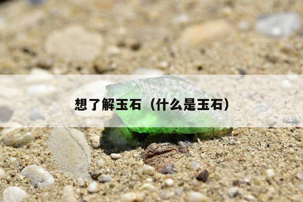 想了解玉石（什么是玉石）