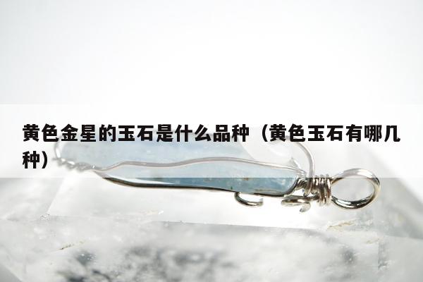 黄色金星的玉石是什么品种（黄色玉石有哪几种）