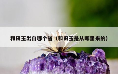 和田玉出自哪个省（和田玉是从哪里来的）