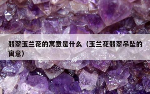 翡翠玉兰花的寓意是什么（玉兰花翡翠吊坠的寓意）