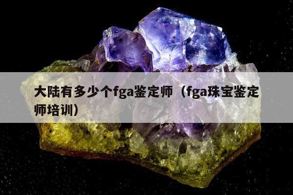 大陆有多少个fga鉴定师（fga珠宝鉴定师培训）