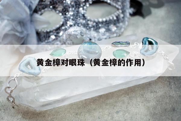 黄金樟对眼珠（黄金樟的作用）
