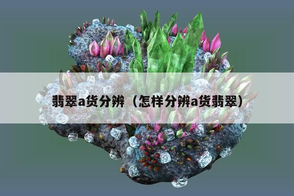 翡翠a货分辨（怎样分辨a货翡翠）