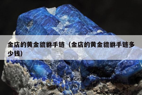 金店的黄金貔貅手链（金店的黄金貔貅手链多少钱）