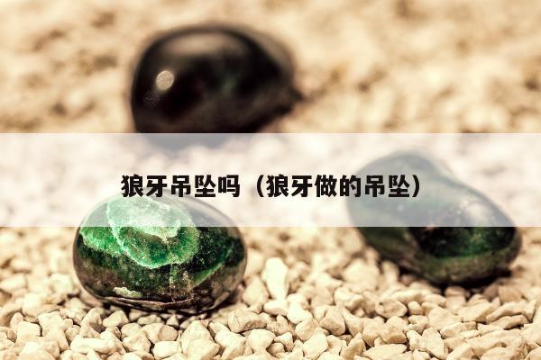 狼牙吊坠吗（狼牙做的吊坠）