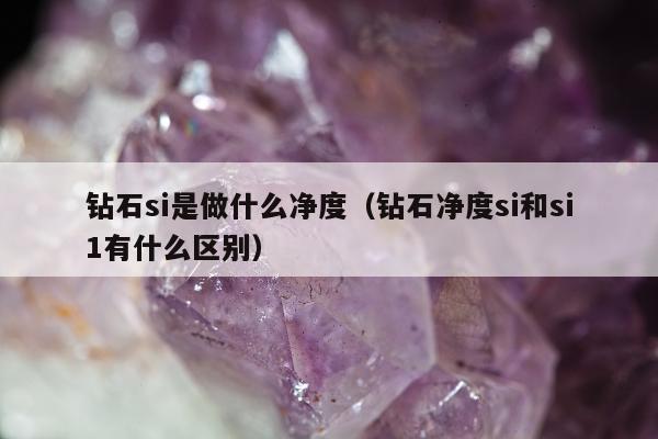 钻石si是做什么净度（钻石净度si和si1有什么区别）