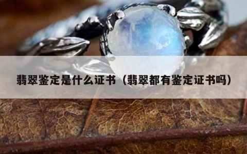 翡翠鉴定是什么证书（翡翠都有鉴定证书吗）