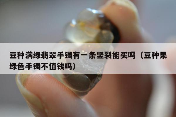 豆种满绿翡翠手镯有一条竖裂能买吗（豆种果绿色手镯不值钱吗）