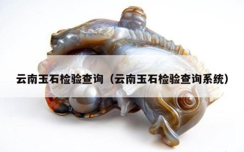 云南玉石检验查询（云南玉石检验查询系统）