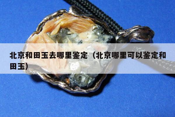 北京和田玉去哪里鉴定（北京哪里可以鉴定和田玉）
