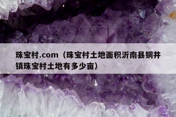 珠宝村.com（珠宝村土地面积沂南县铜井镇珠宝村土地有多少亩）