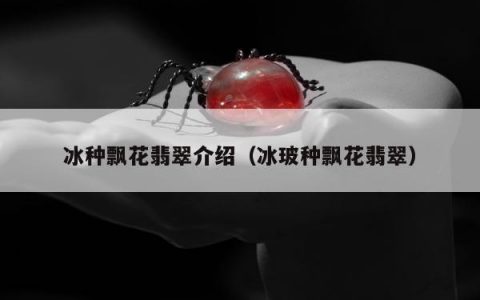 冰种飘花翡翠介绍（冰玻种飘花翡翠）