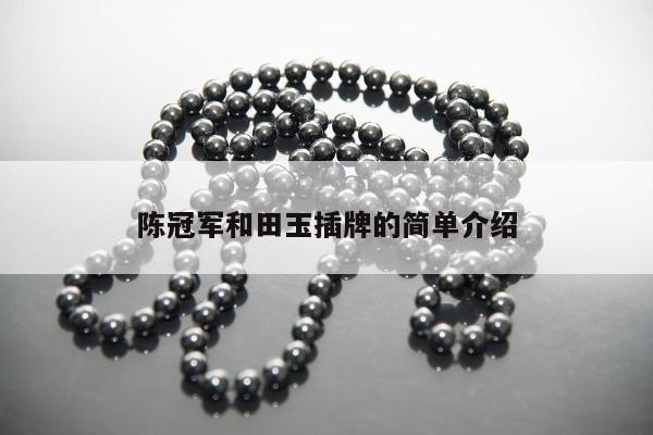 陈冠军和田玉插牌的简单介绍