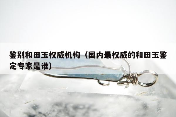 鉴别和田玉权威机构（国内最权威的和田玉鉴定专家是谁）