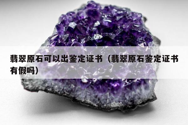 翡翠原石可以出鉴定证书（翡翠原石鉴定证书有假吗）
