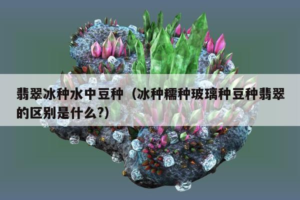 翡翠冰种水中豆种（冰种糯种玻璃种豆种翡翠的区别是什么?）