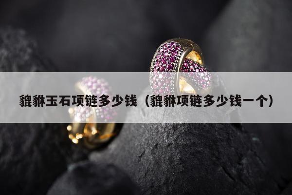 貔貅玉石项链多少钱（貔貅项链多少钱一个）