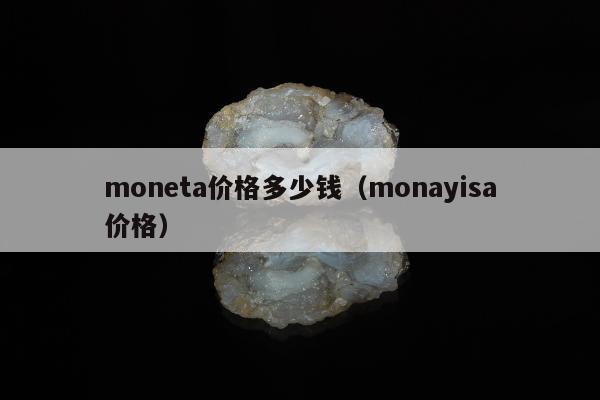 moneta价格多少钱（monayisa价格）
